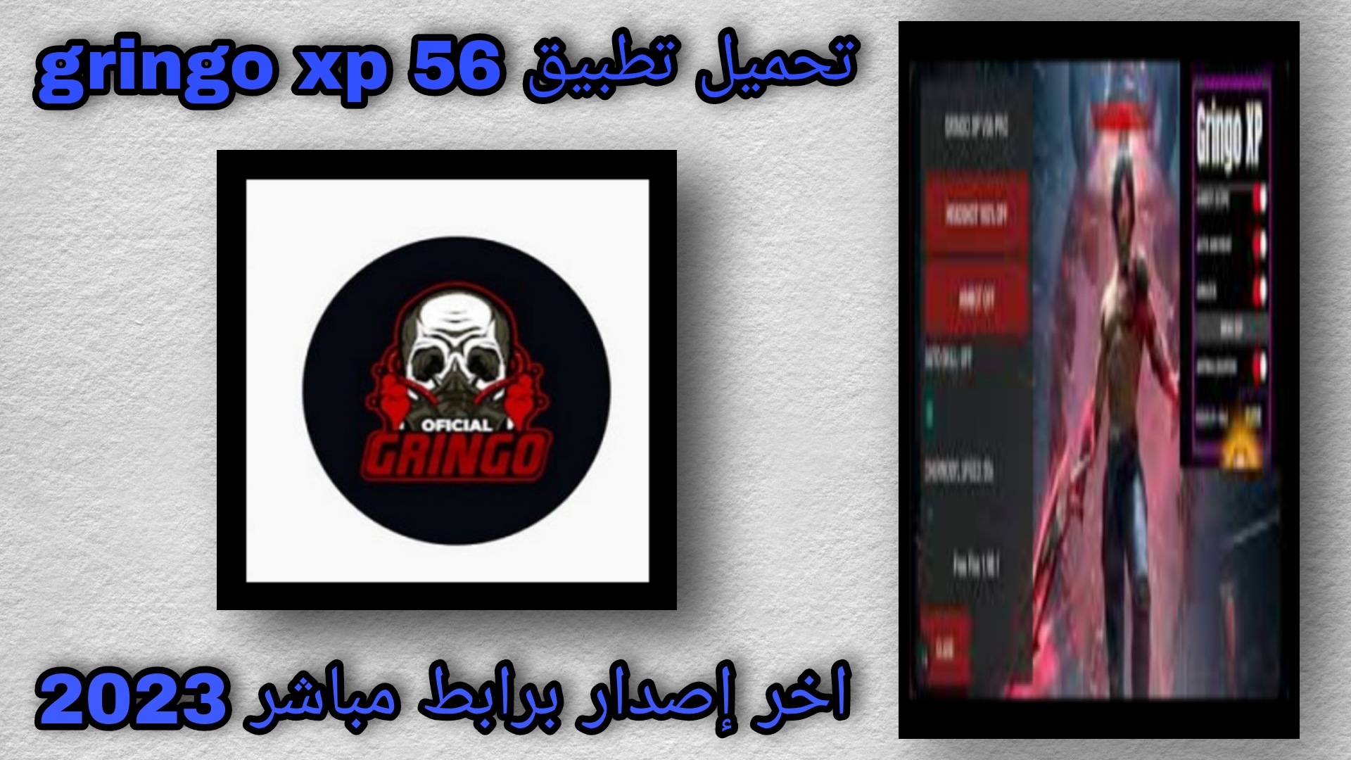 تحميل تطبيق gringo xp 56 apk للاندرويد و الايفون مجانا