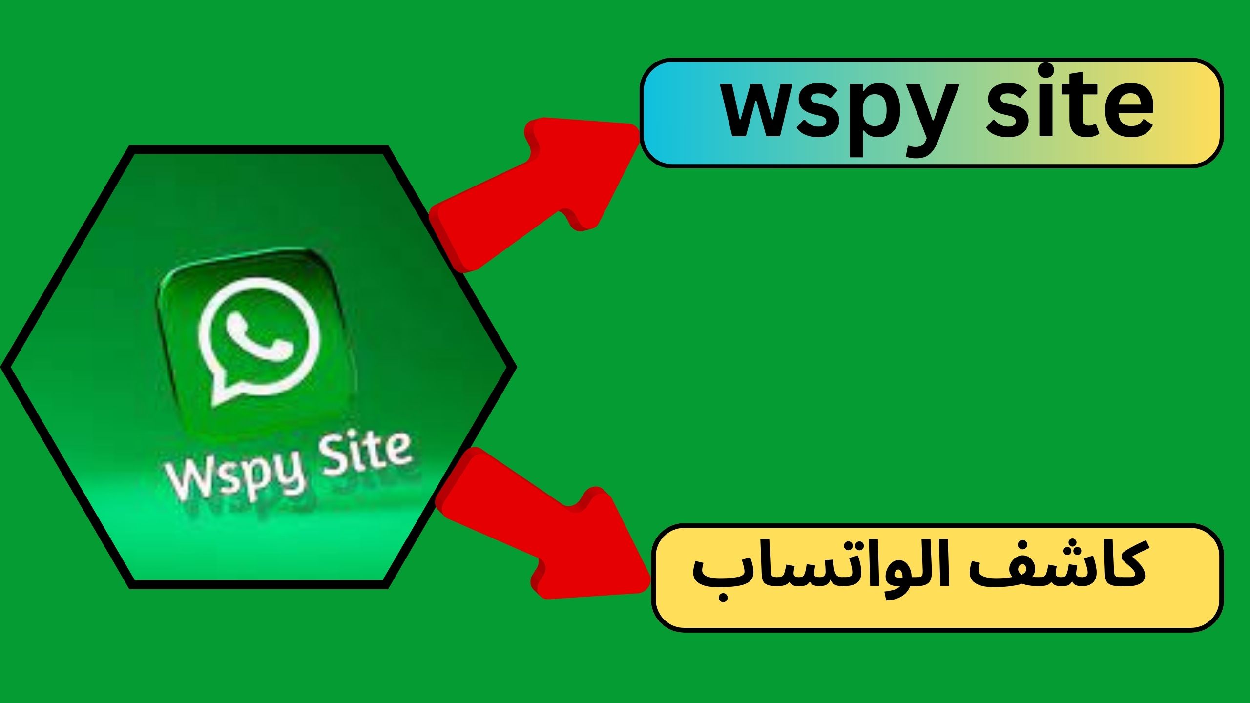 طريقة استخدام وتحميل برنامج wspy site مهكر كاشف الواتساب مجانا 2024