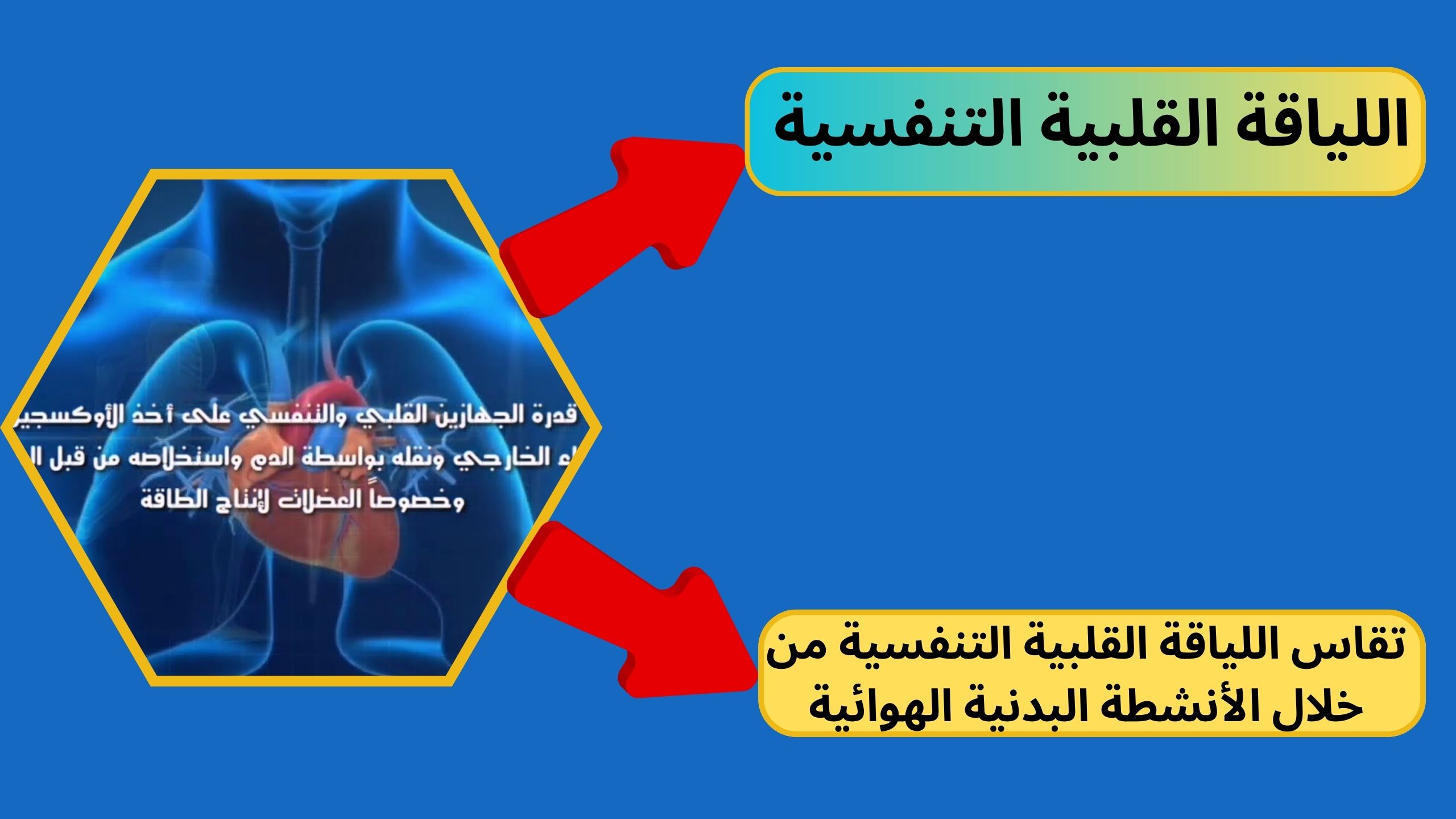 تقاس اللياقة القلبية التنفسية من خلال الأنشطة البدنية الهوائية