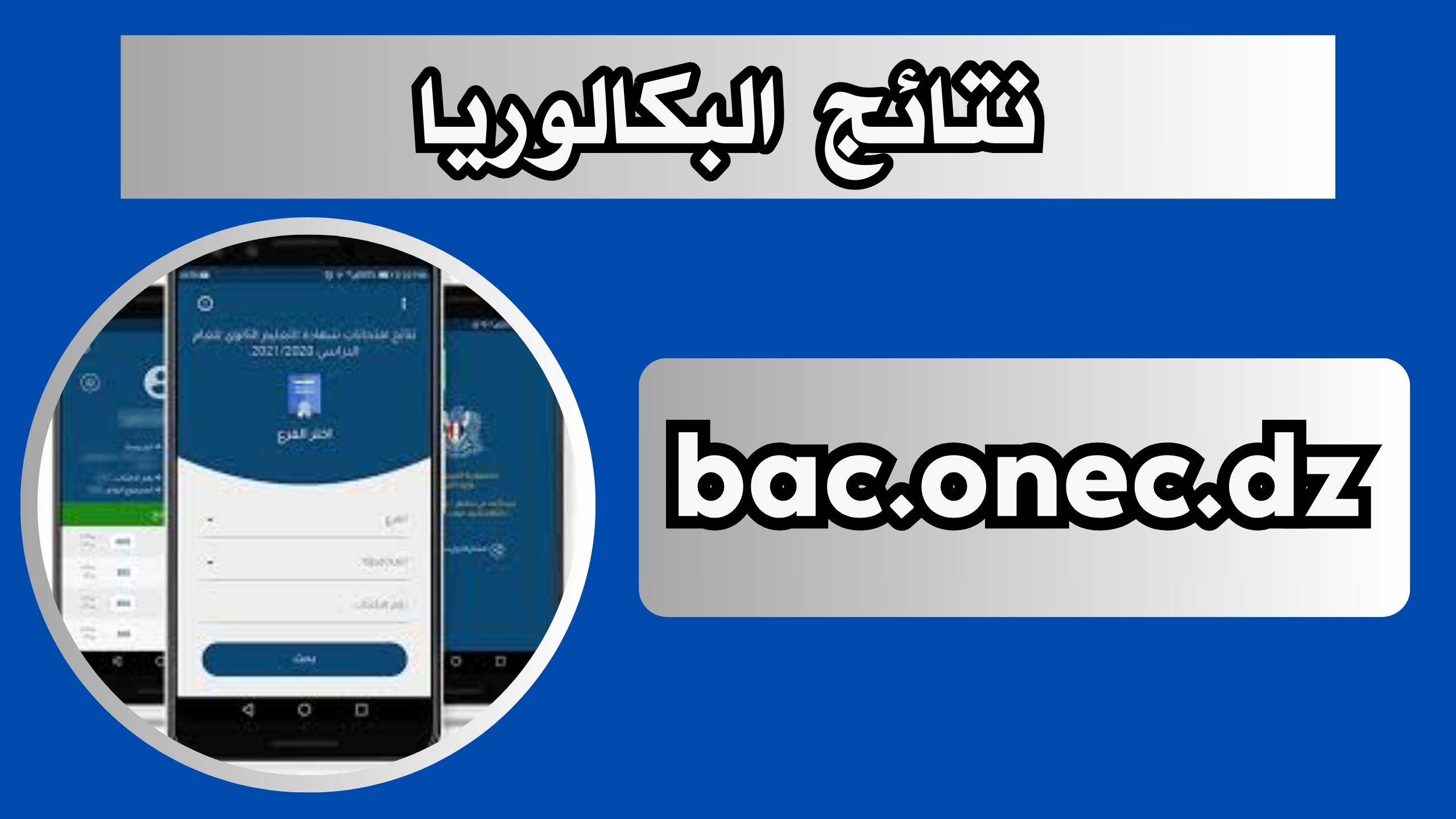 تحميل تطبيق نتائج البكالوريا bac.onec.dz 2024 برابط مباشر